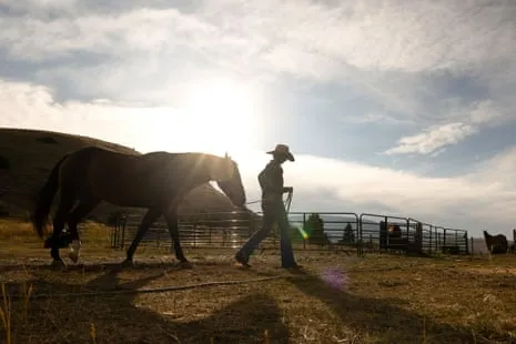 Meet the American Women Ranchers Transforming Modern Farm Life