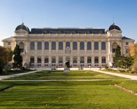 Priceless Gold Samples Taken in Daring Heist at France's Natural History Institution